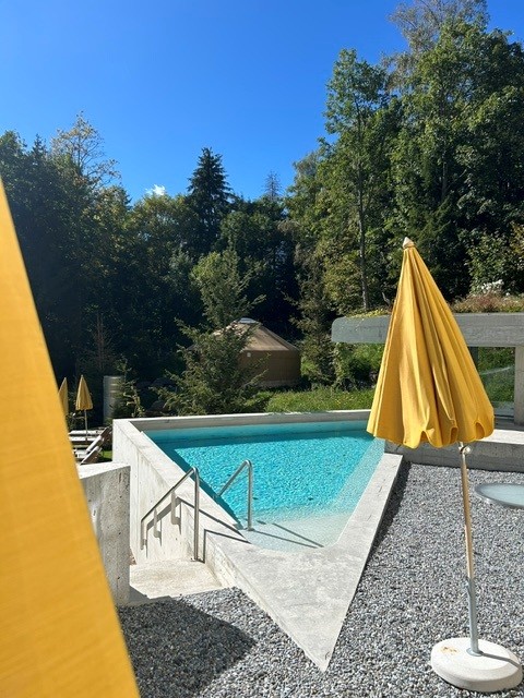 Aussenpool im Spa-Garten