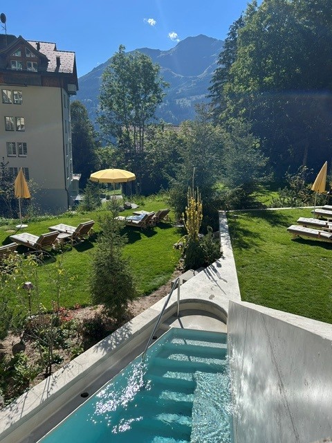 Liegewiese und Aussenpool mit Bergblick